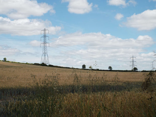 The North Wessex Downs VIP project